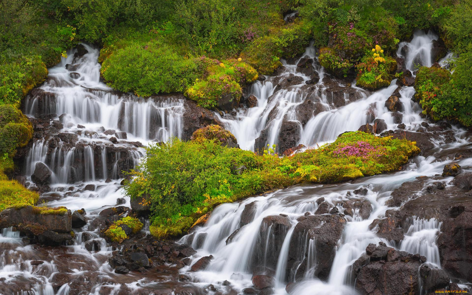 , , , tasmania, , liffey, falls, 